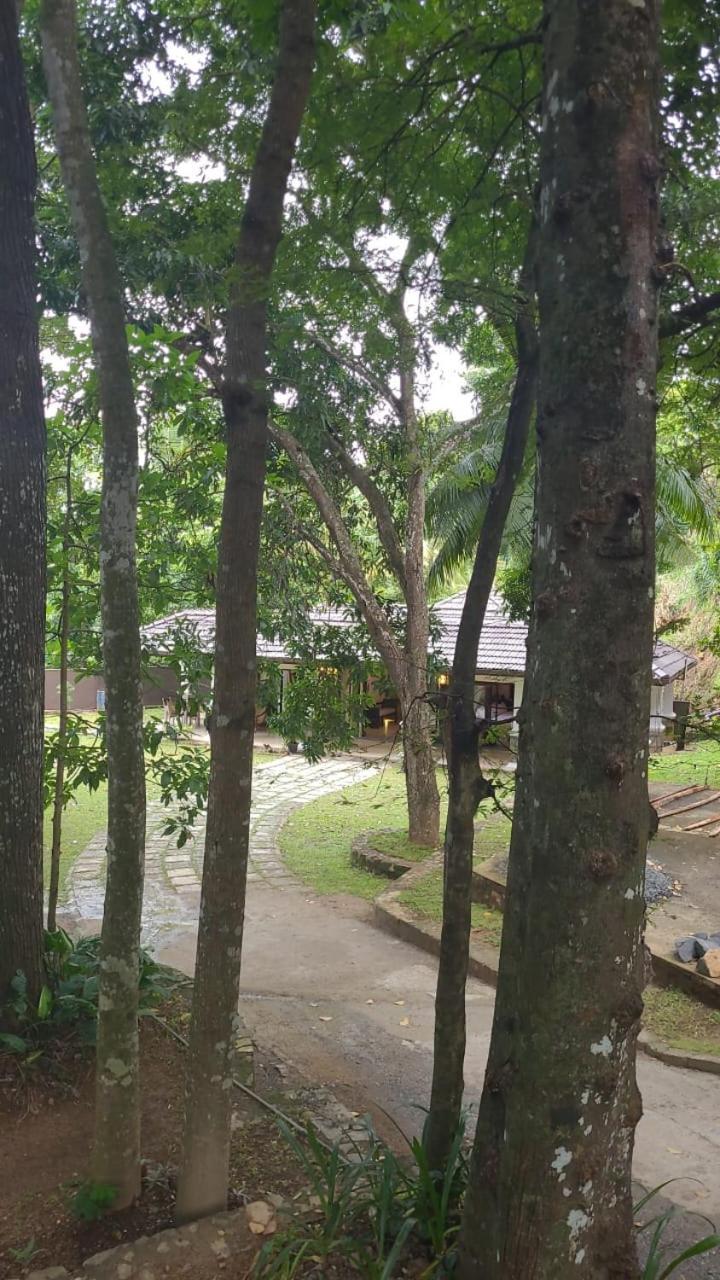 Villa D55 Kandy Eksteriør bilde