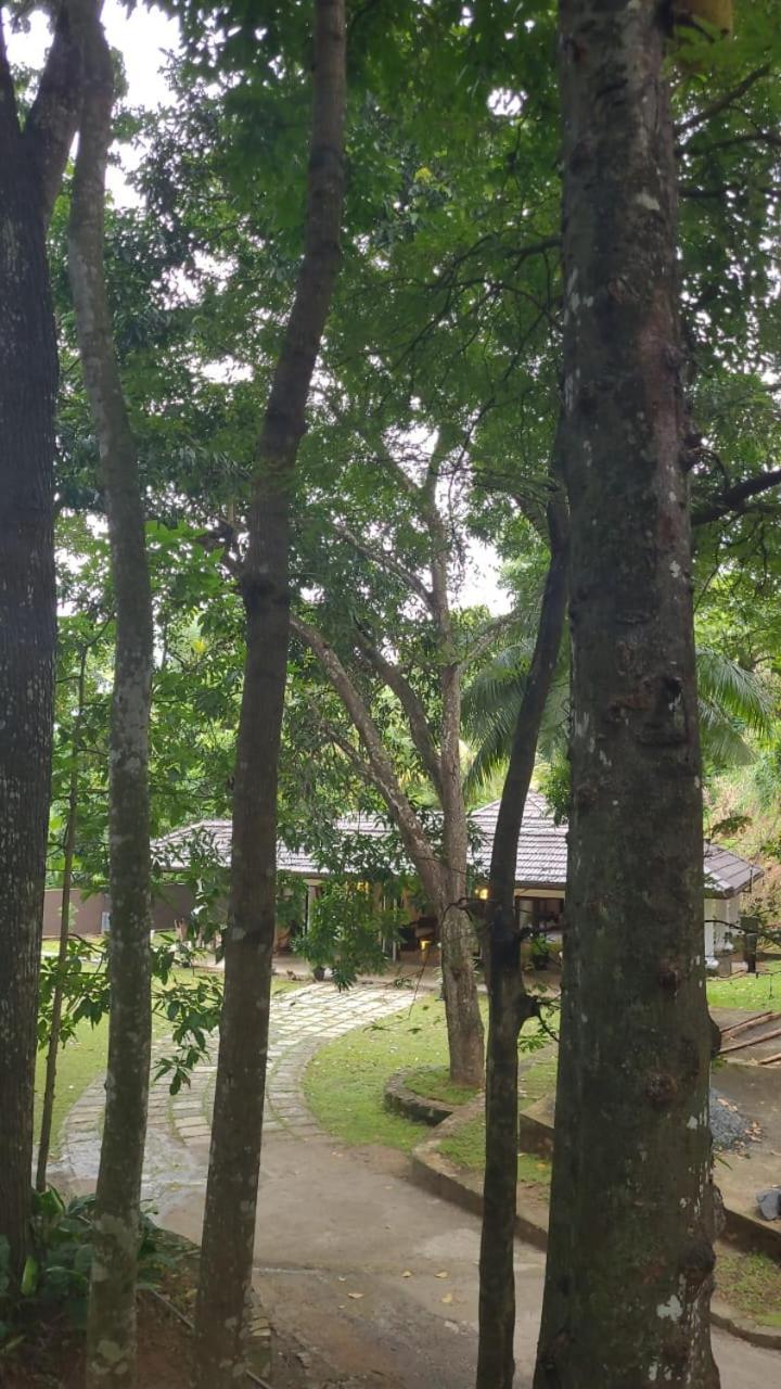 Villa D55 Kandy Eksteriør bilde